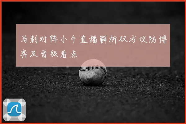 马刺对阵小牛直播解析双方攻防博弈及晋级看点