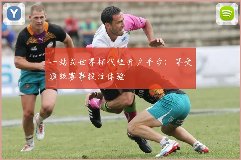 一站式世界杯代理开户平台:享受顶级赛事投注体验