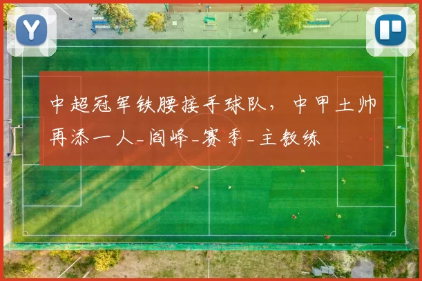 中超冠军铁腰接手球队,中甲土帅再添一人_阎峰_赛季_主教练