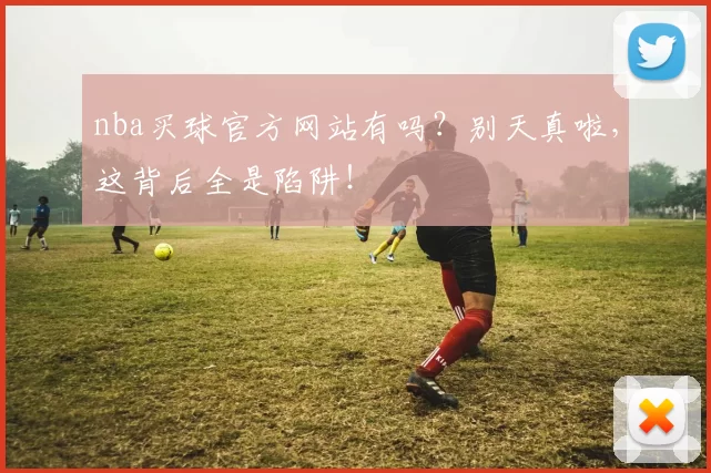 nba买球官方网站有吗？别天真啦，这背后全是陷阱！