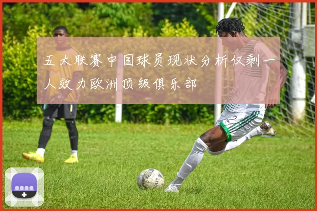 五大联赛中国球员现状分析仅剩一人效力欧洲顶级俱乐部