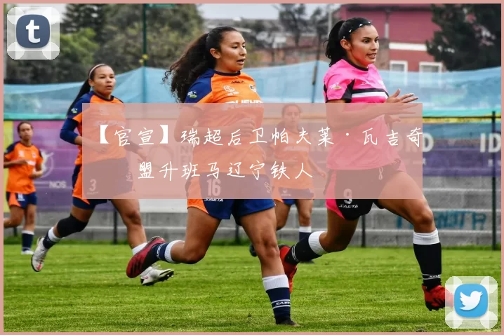 【官宣】瑞超后卫帕夫莱·瓦吉奇加盟升班马辽宁铁人